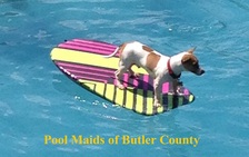 Logo for Pool Maids Of Butler County