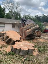 J & H Global Tree Services, LLC logo
