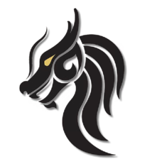 Dragon Security, LLC logo
