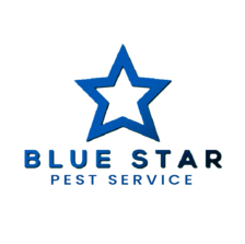 Avatar for Blue Star Solutions, Inc.