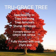 Logo for Tru-Grace Tree Service