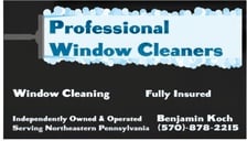 Avatar for Professional Window Cleaning