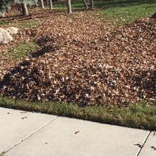 Spencer's Lawn Maintenance | Sandy, UT 84092 - HomeAdvisor