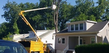 Logo for Machado Landscaping and Tree Service