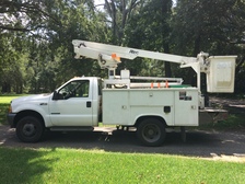 Quality Tree Work of Charleston logo