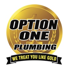 Option One Services, Inc. logo