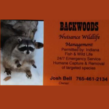 Backwoods Nuisance Wildlife Management logo