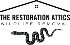 Avatar for The Restoration Attics