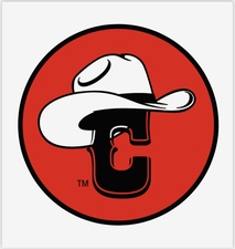 Logo for Cowboy Plumbing Services