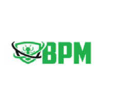 BPM Environmental Solutions logo