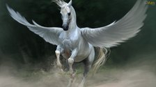 Pegasus Tile & Services Company logo
