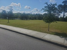 Logo for Top Notch Landscaping