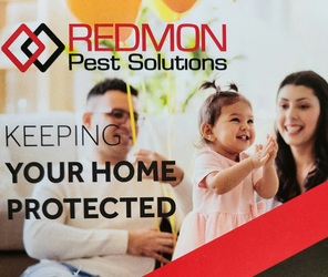 Redmon Solutions, LLC logo