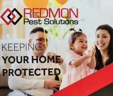 Avatar for Redmon Solutions, LLC