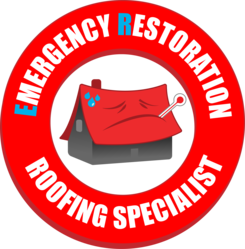 ER Roofing Specialist, LLC logo