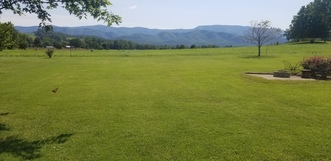 Appalachian Property Maintenance logo