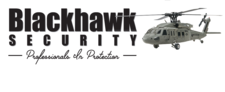 Blackhawk Low Voltage Systems logo