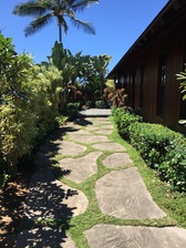 Avatar for Mauna Loa Landscaping
