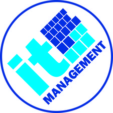 IT Management Services logo