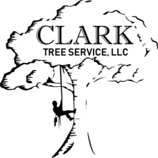 Clark Tree Service, LLC logo