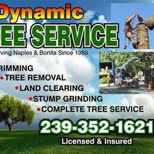 Avatar for Dynamic Tree Service