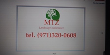 Avatar for MTZ Landscape Maintenance
