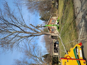Rivetts Tree Service logo