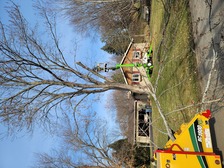 Rivetts Tree Service logo