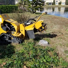 stump removal peoria il, Orlando FL