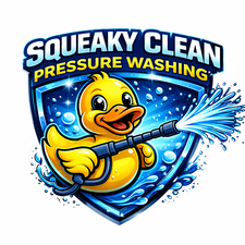 Avatar for Squeaky Clean Pressure Washing