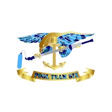 Pool Team 6, LLC logo