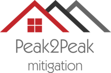 Avatar for Peak2Peak Mitigation