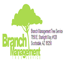 Branch Management Tree Service, LLC logo