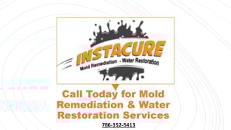 Instacure Mold Remediation, Inc logo
