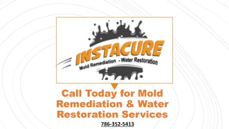 Instacure Mold Remediation, Inc logo