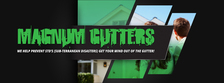 Avatar for Magnum Gutters