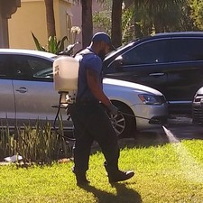Avatar for Bedbugs911.com