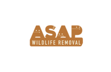 Wildlife Removal Asap logo