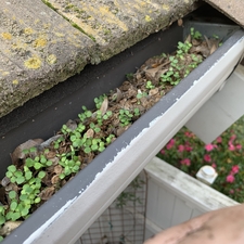 Gutter Cleaning Folsom El Dorado Hills Fair Oaks Squeaky Clean