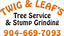 Avatar for Twig & Leaf's Tree Service & Stump Grinding, LLC
