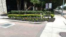 A-E Garcia Lawn Service logo
