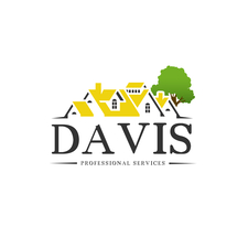 Davis Professional Services logo