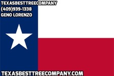 Texas Best Tree Company, LLC logo