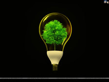 Avatar for Boss Electrical