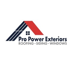 Pro Power Exteriors, LLC logo