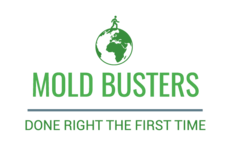 Avatar for Mold Busters