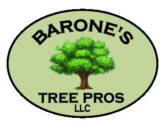 Barone's Tree Pros, LLC logo