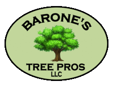 Avatar for Barone's Tree Pros, LLC