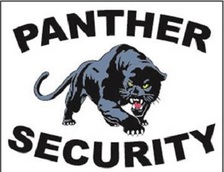 Avatar for Panther Security