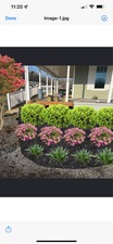 Logo for Tropical Pro Landscape Services, LLC